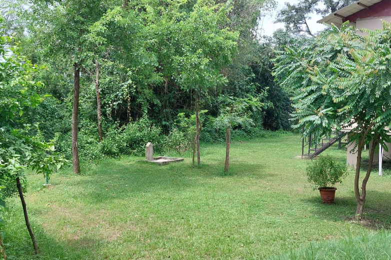 Lumbini Buddha Garden