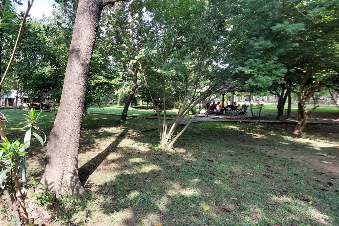 Lumbini Buddha Garden