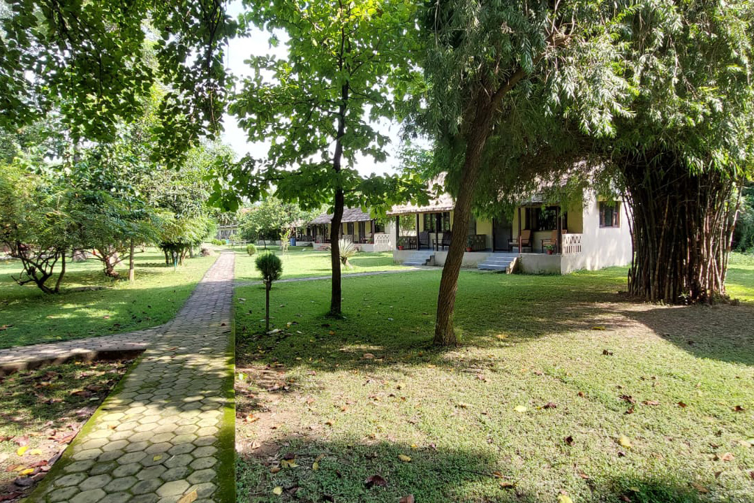 Lumbini Buddha Garden