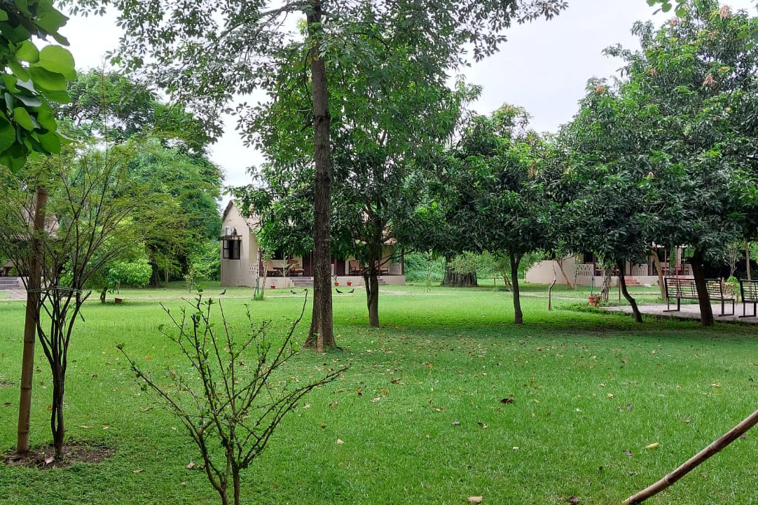 Lumbini Buddha Garden